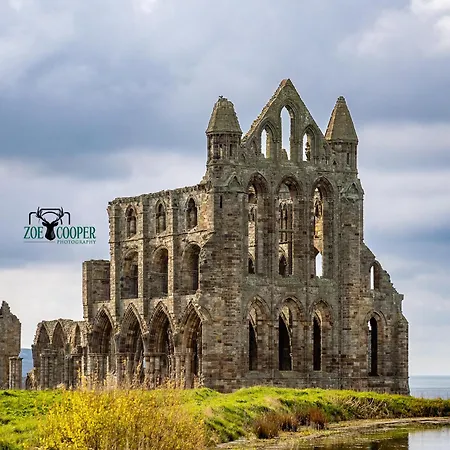 Curlew House, With Parking And Abbey Views! Уитби